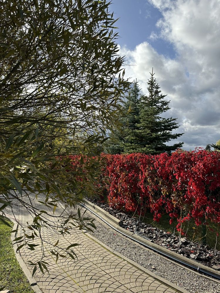 Photograph by Вера Рудик