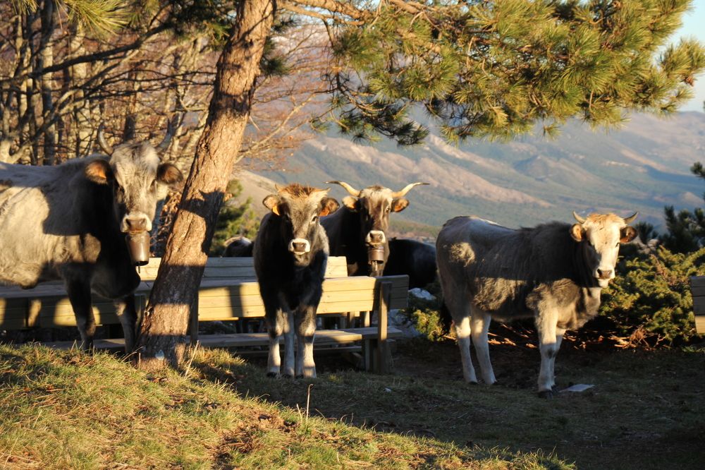 Photograph by Nadzeya