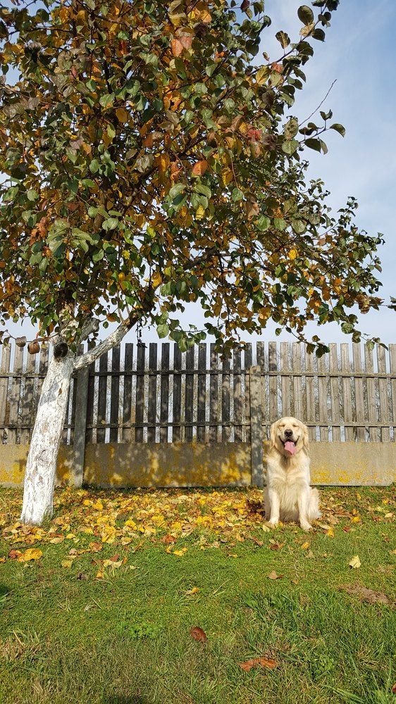 Photograph by Елена Ямнюк