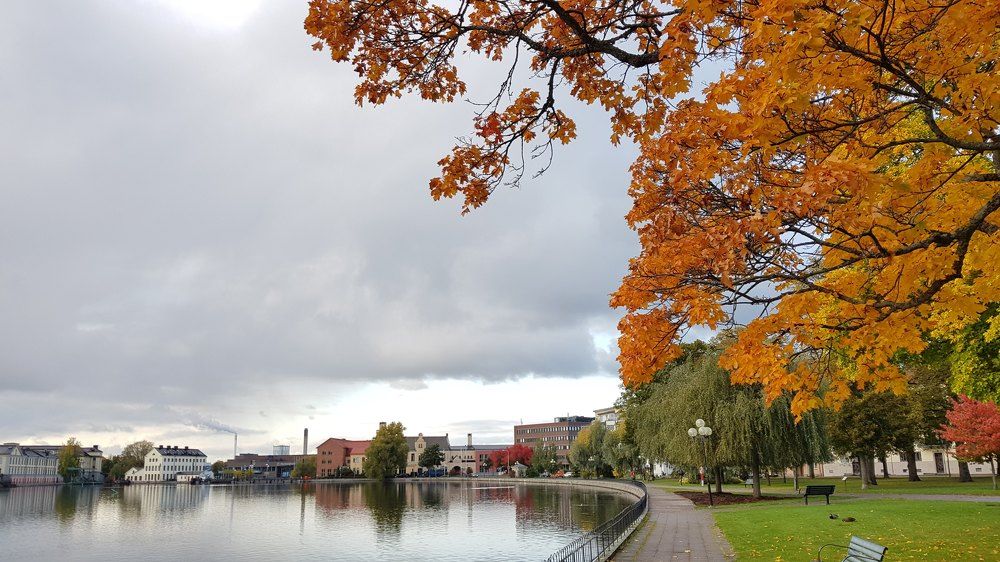 Photograph by Елена Ямнюк