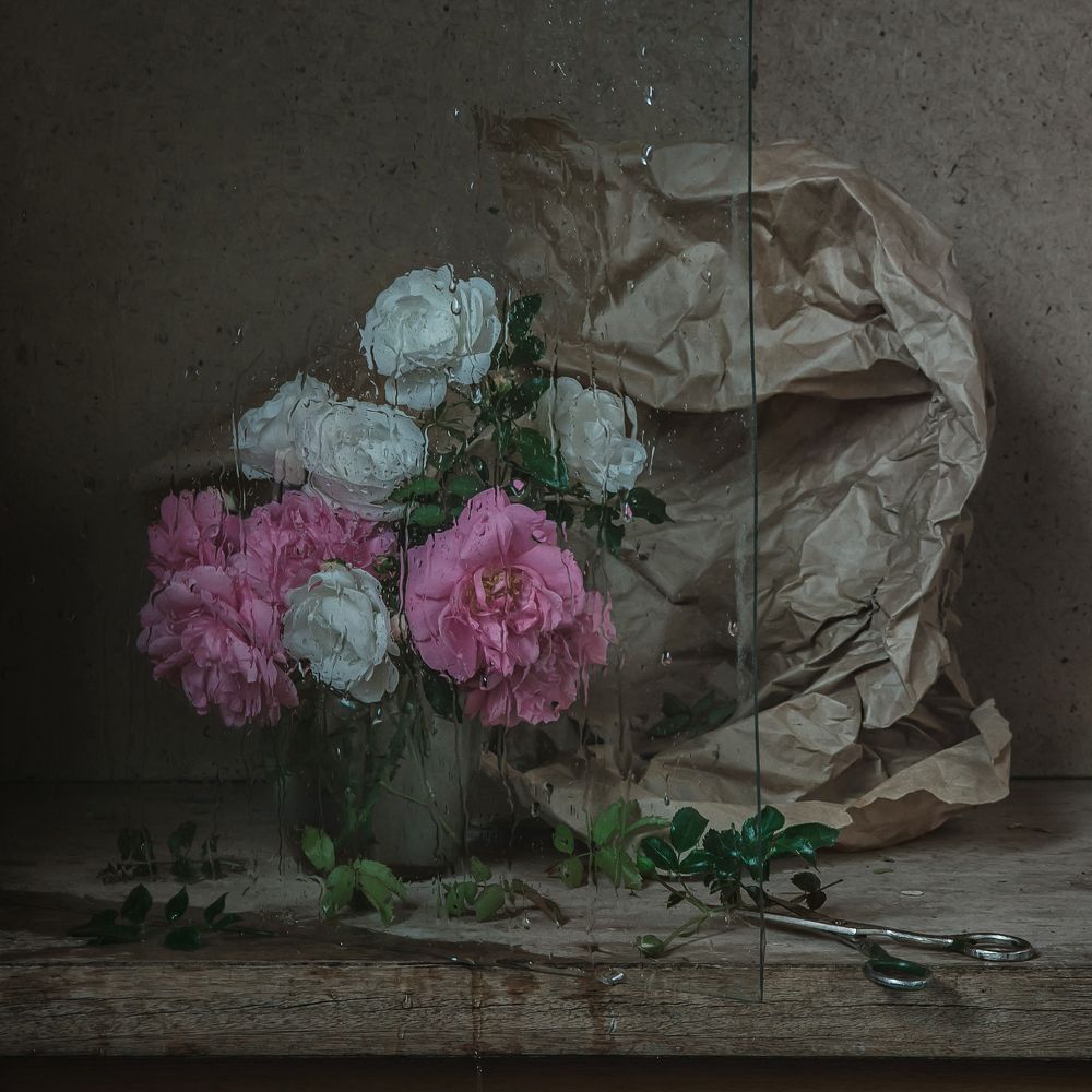 Фотография автора Анна Петина