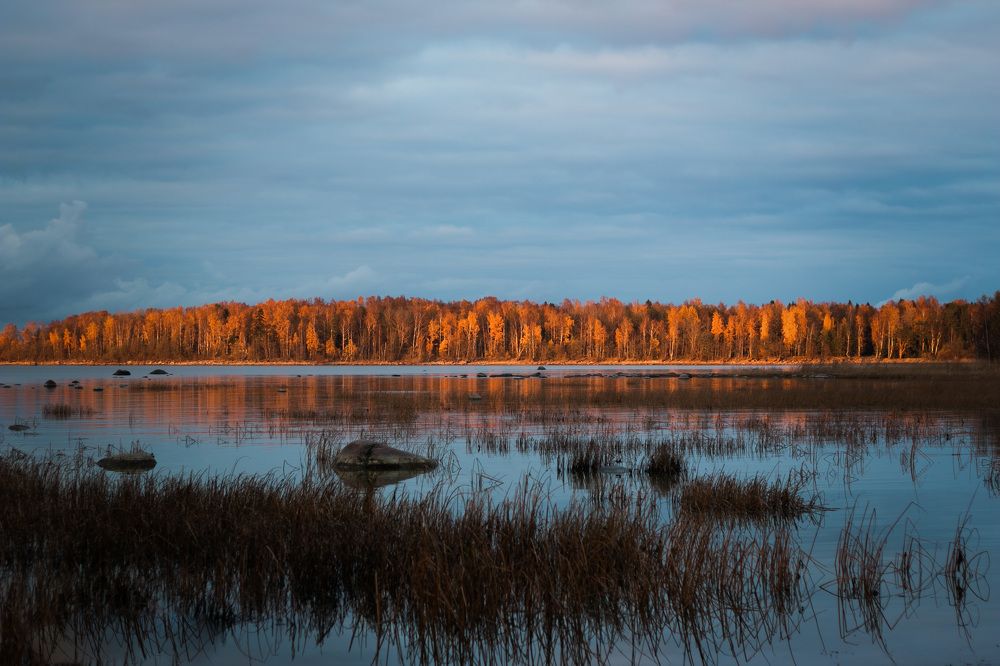 Photograph by Елена Павлова