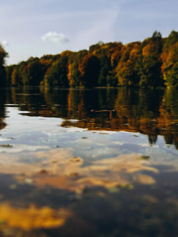 Photograph by Maria Kurakhtanova