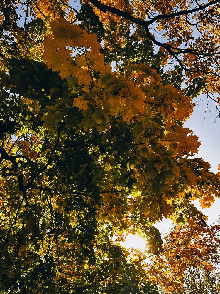 Photograph by Maria Kurakhtanova