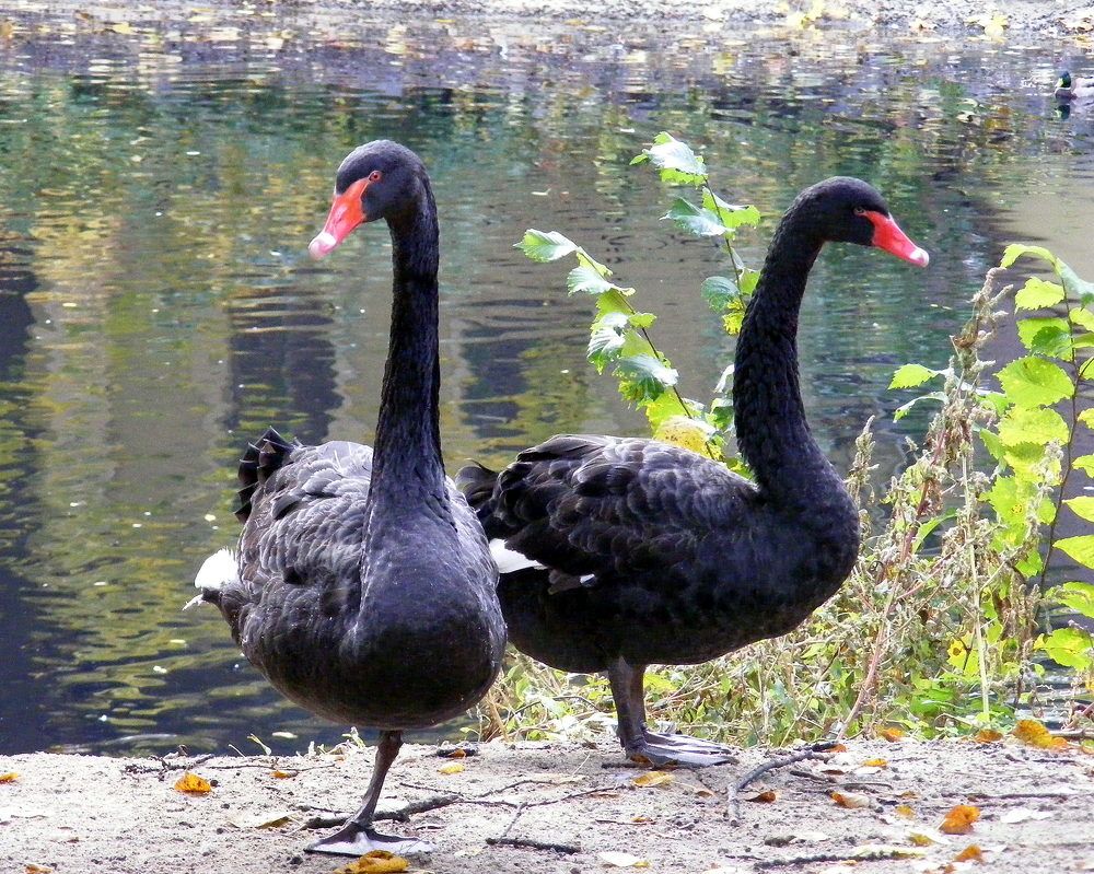 Photograph by Pjotr Alekseev