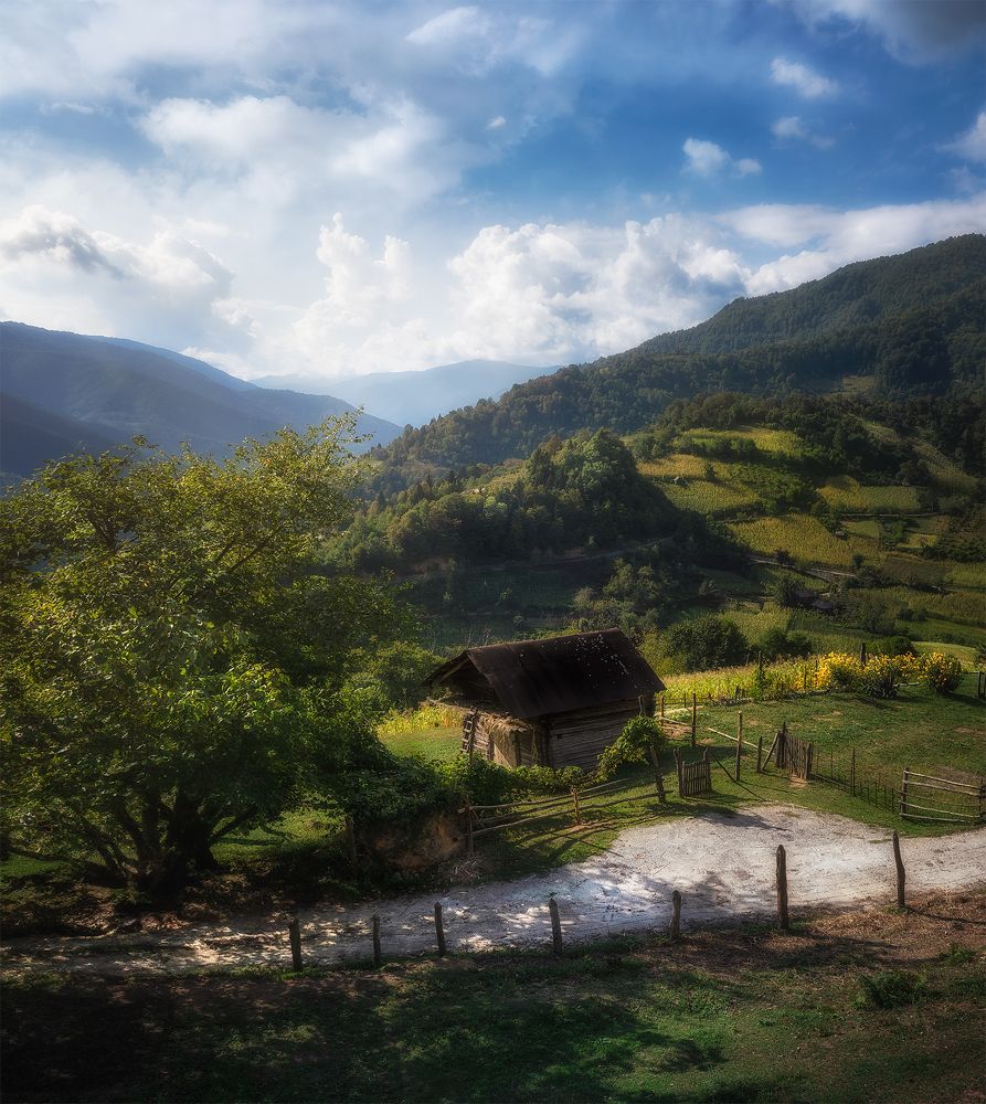 Photograph by Helen Vasilieva