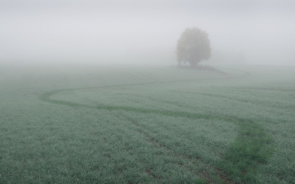 Фотография автора Dmitry Medyancev