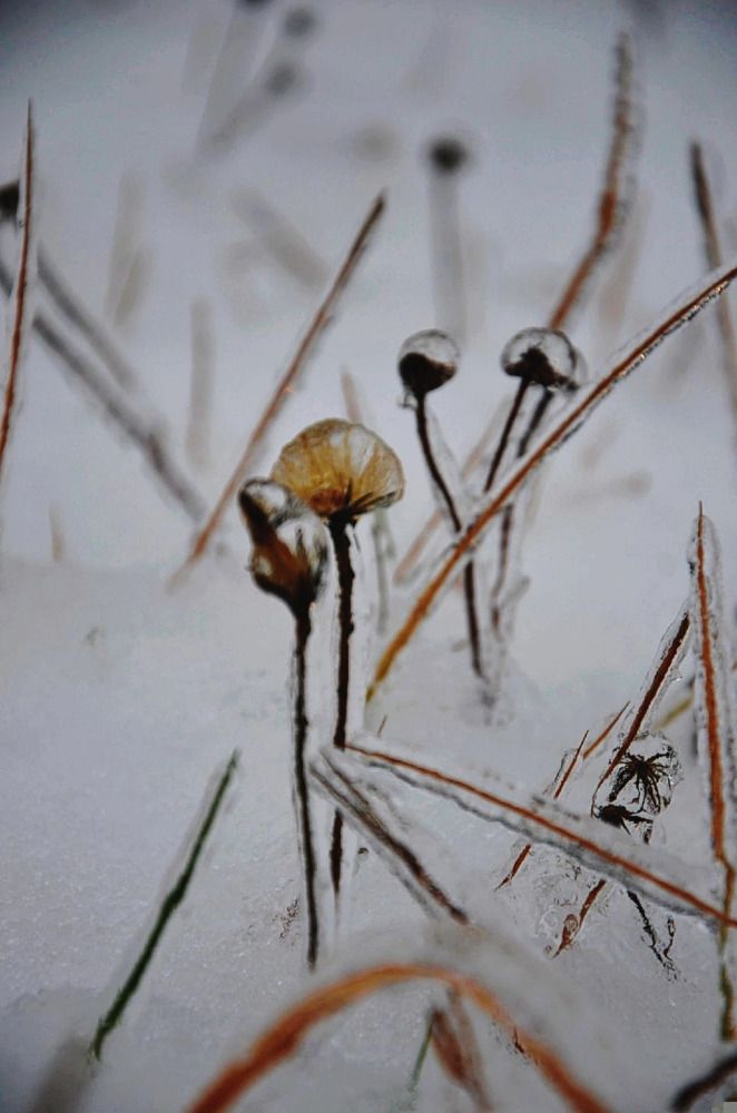 Photograph by Мария Зыкова