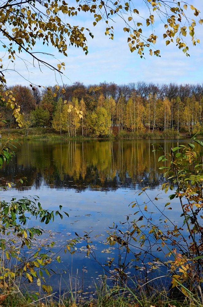 Photograph by Мария Зыкова