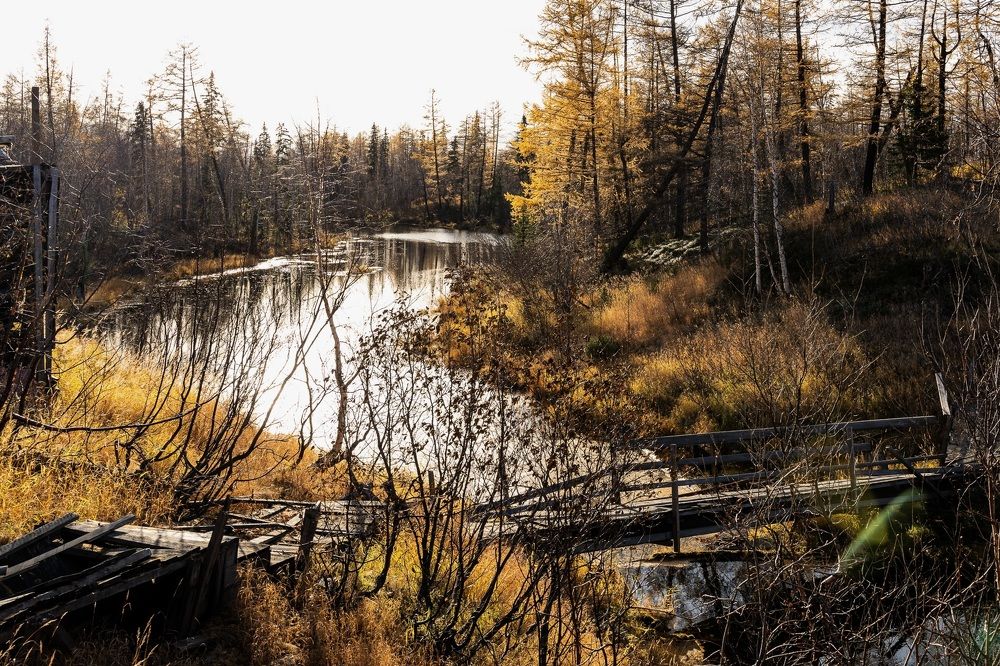 Photograph by Смолянинова Татьяна