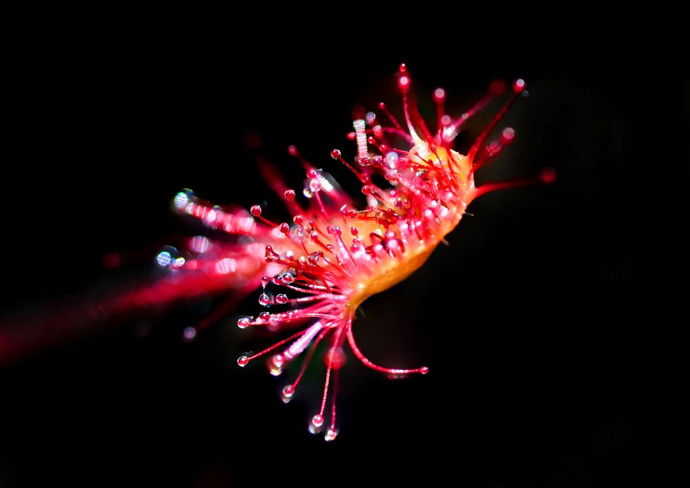 Photograph by Валерий Афанасьев