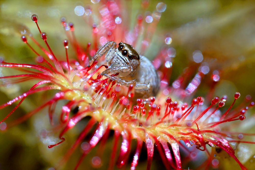 Photograph by Валерий Афанасьев