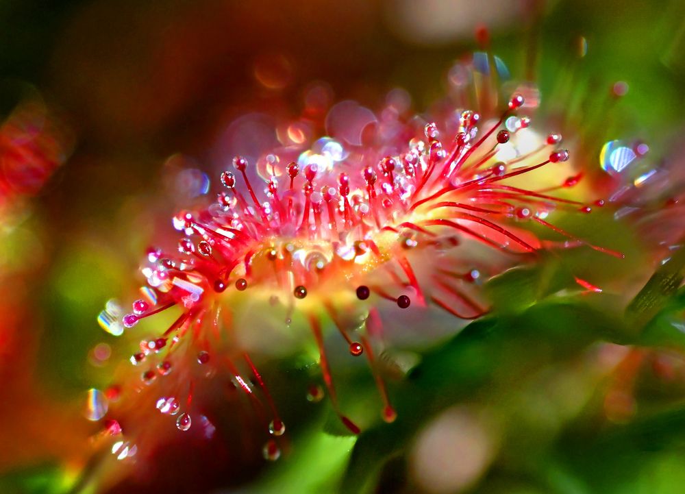 Photograph by Валерий Афанасьев