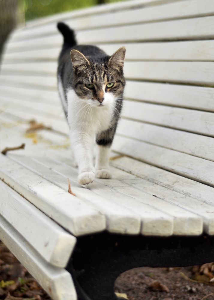 Photograph by Юлия Сидорова