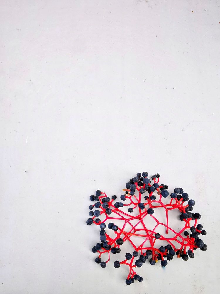 Photograph by Елена Артёменко