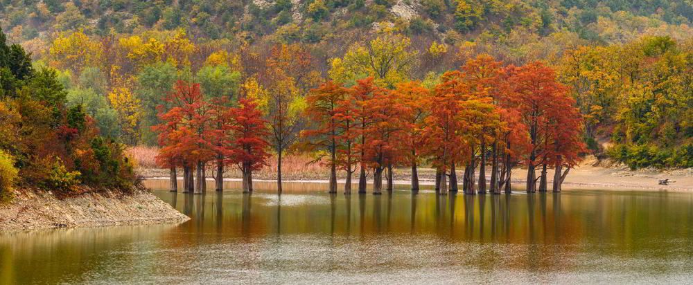 Photograph by Виктор Лагашёв