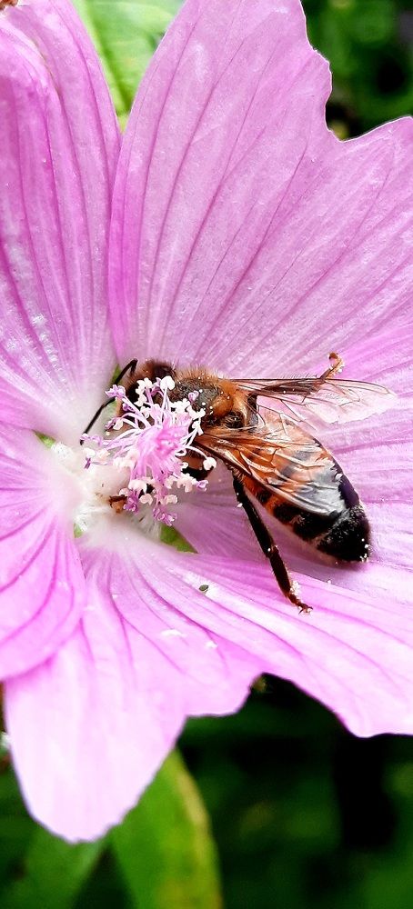 Photograph by Sonia Crotta