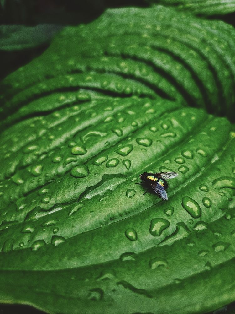 Фотография автора Виктория Мешкова