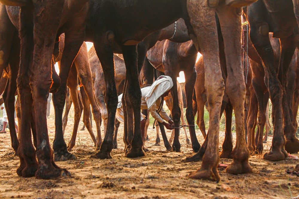 Token of rememberance