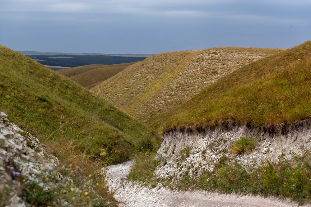 Photograph by Виталий Са