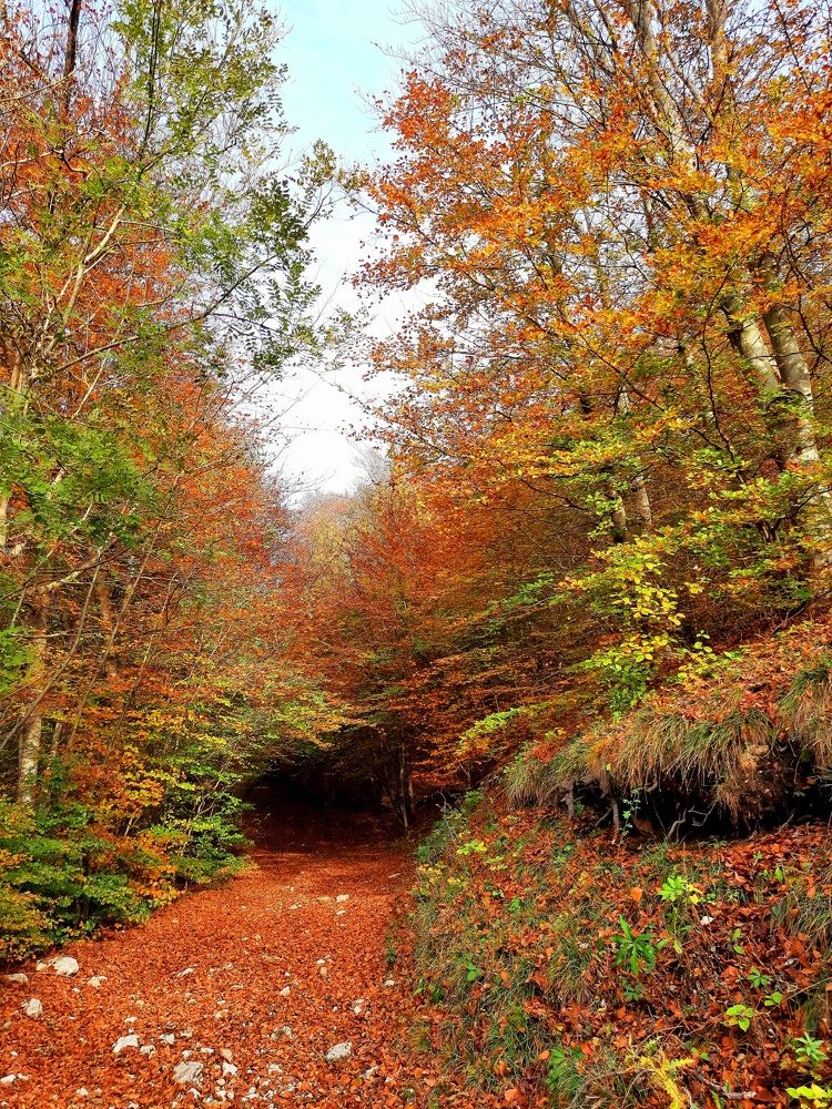 Photograph by Sonia Crotta