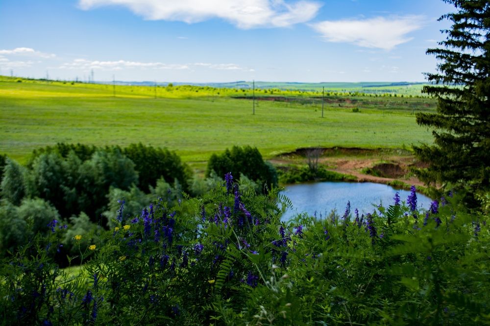 Photograph by Илья Долгушев
