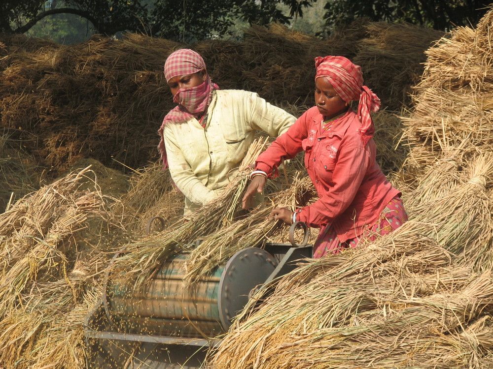 Photograph by SURAJIT SARKAR