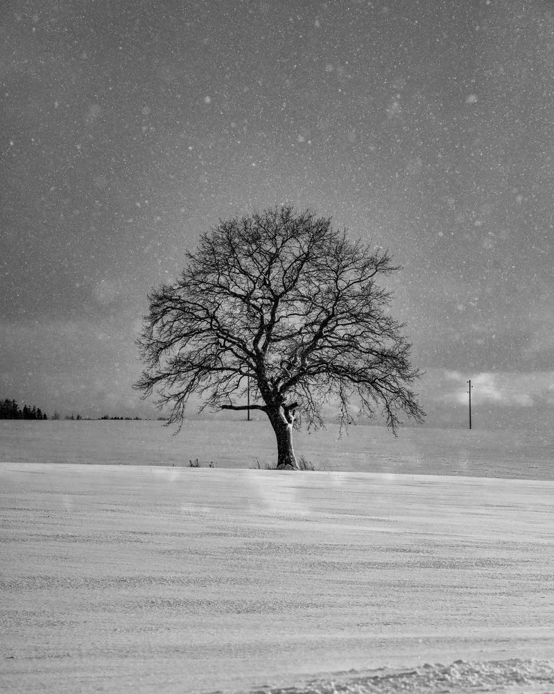 Photograph by Albina Kulikova