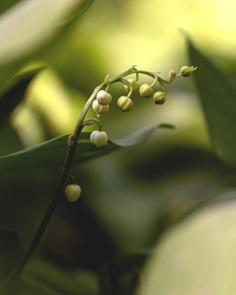 Photograph by Anton Leonchikov