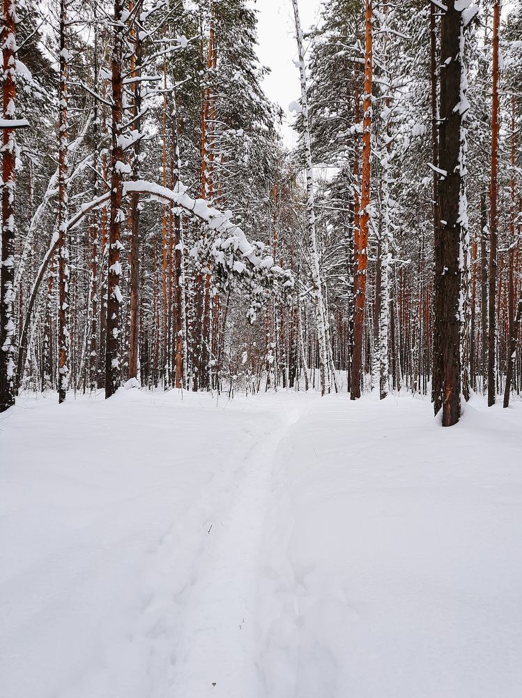 Photograph by Ксения Евгеньевна Коржнева