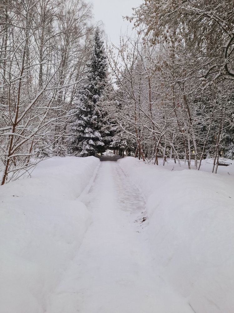 Photograph by Ксения Евгеньевна Коржнева