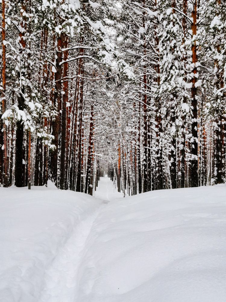 Photograph by Ксения Евгеньевна Коржнева