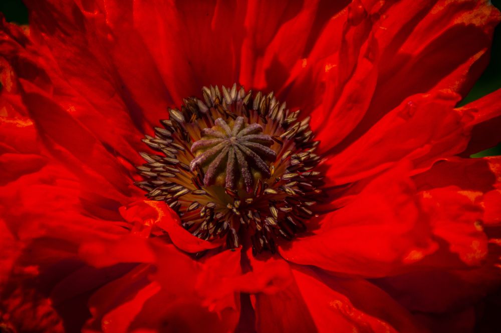 Photograph by Марина Канавченко