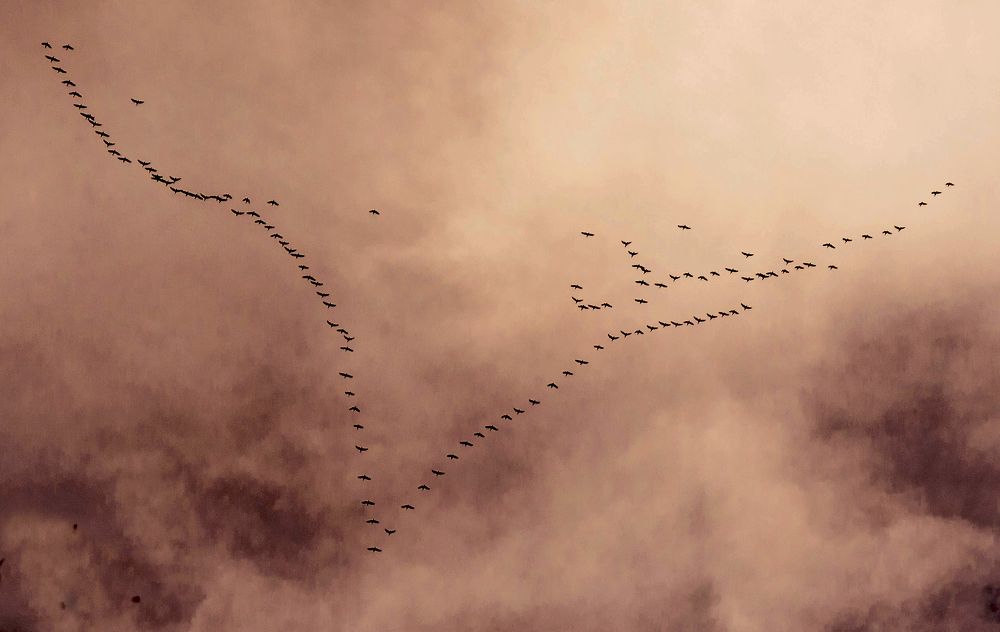 Photograph by Сергей Нестеров