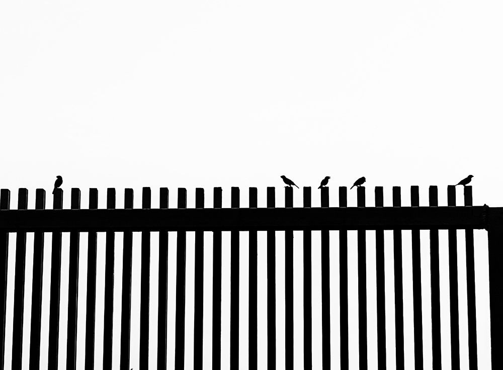 Photograph by HARSHIT MISHRA