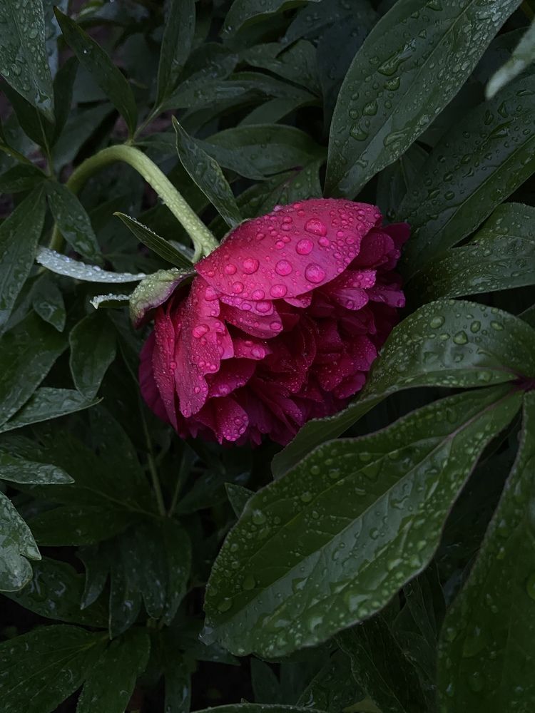 Photograph by Евгений Лосев