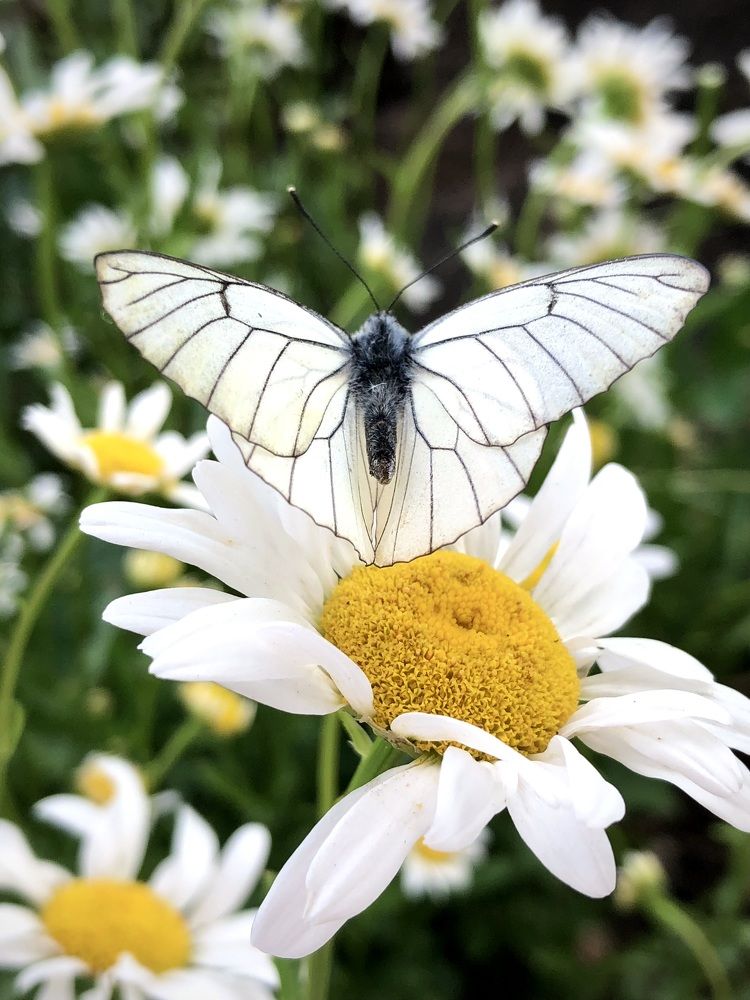 Фотография автора Евгения Елисеева