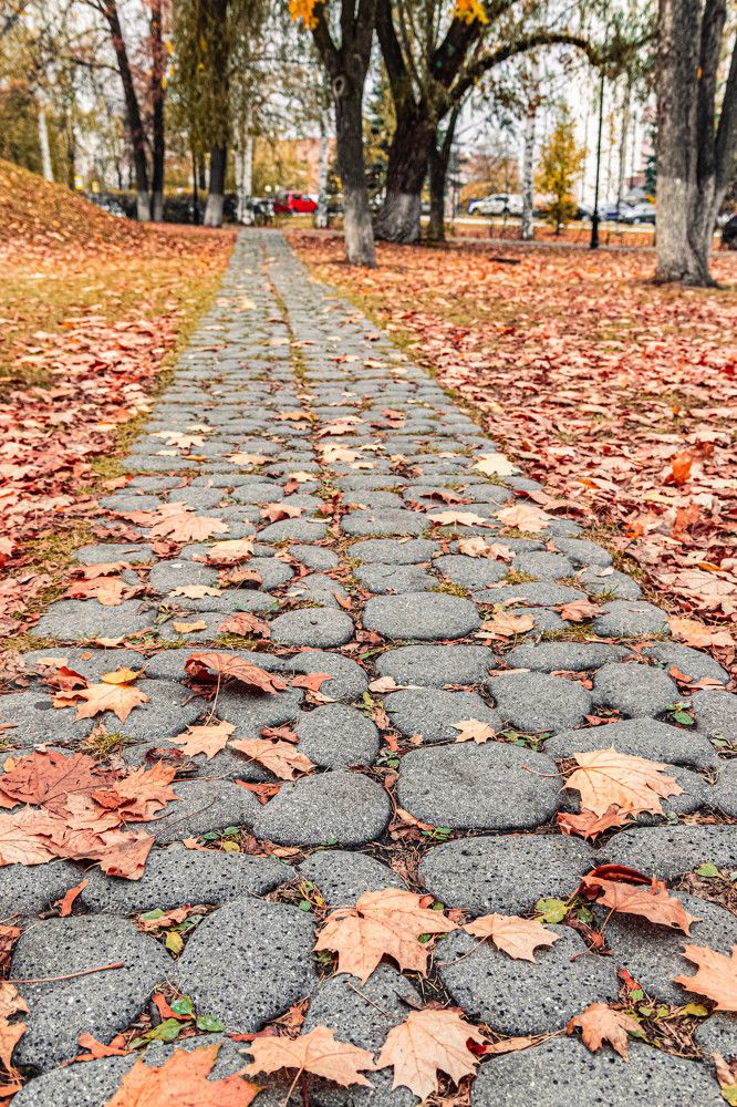 Photograph by Михаил Костыря