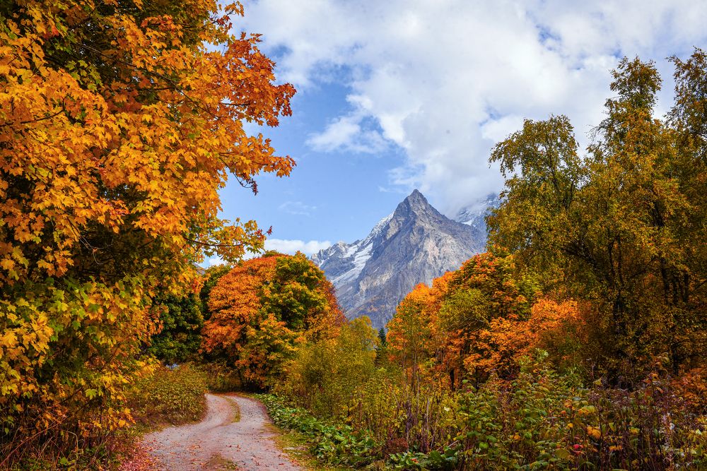 Photograph by Юлия Тарасенко