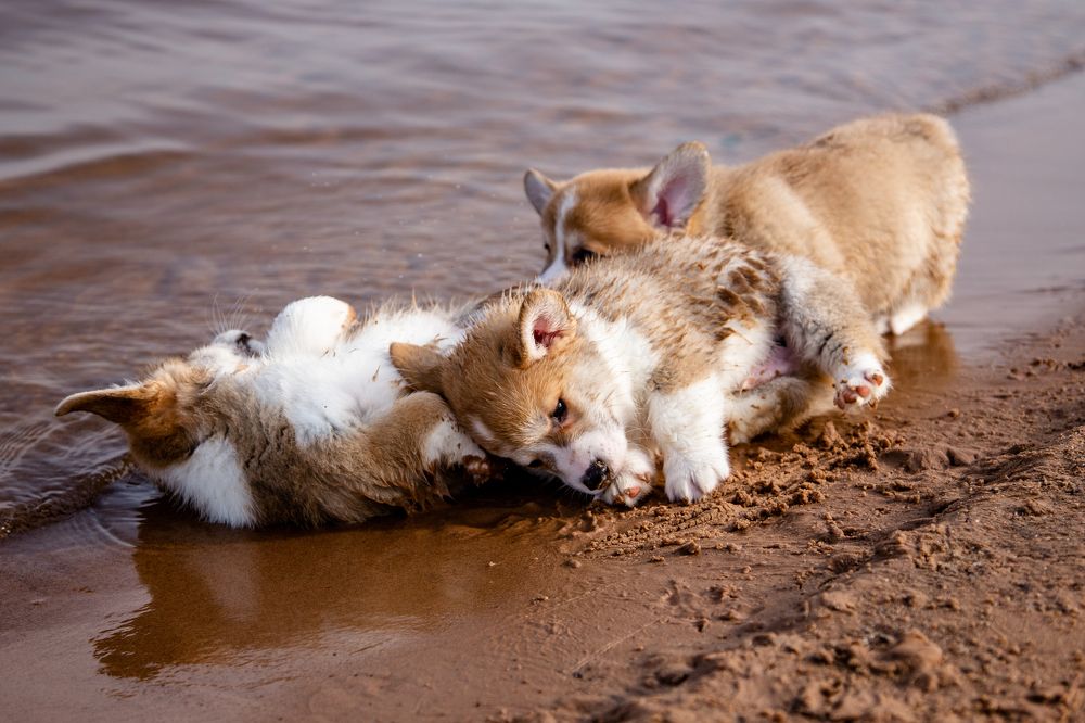 Photograph by Станислава Гордеева