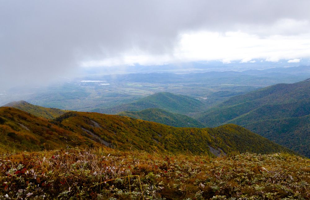 Photograph by Наталья Лобанова