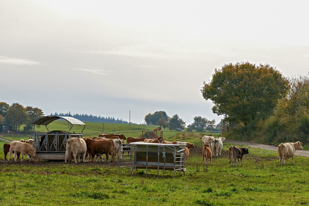 Photograph by Валерий