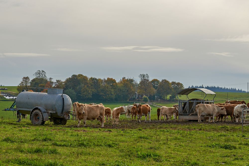 Photograph by Валерий