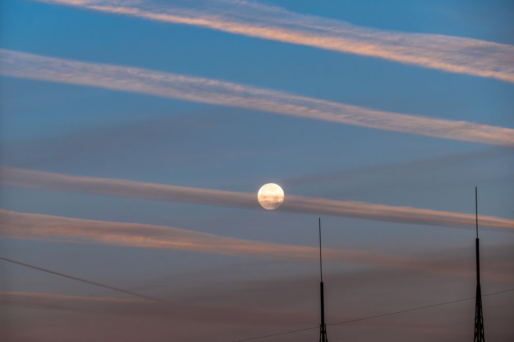 Одна на всех.