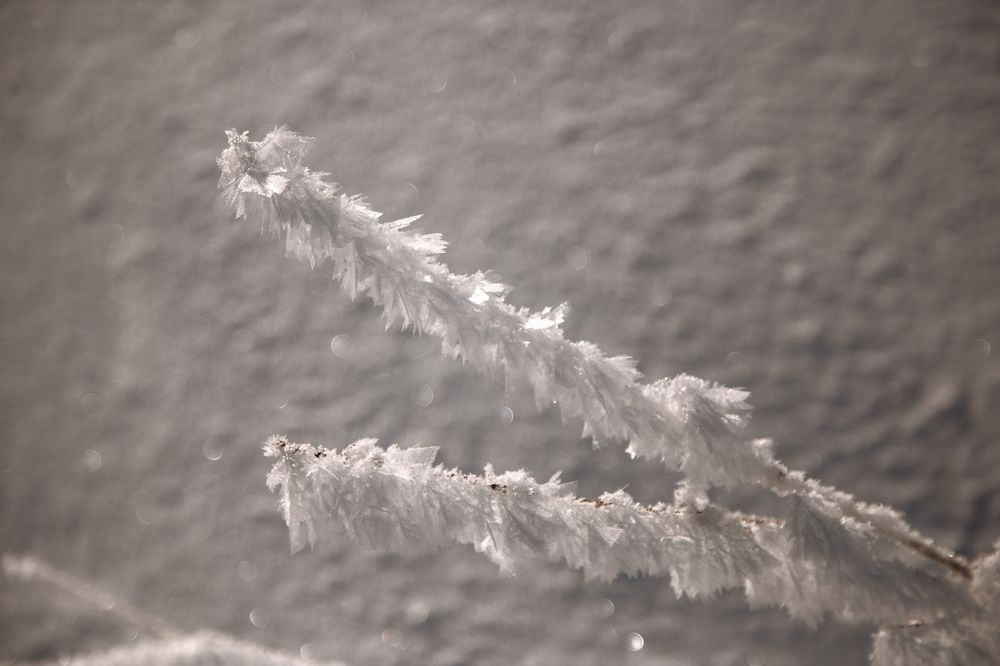 Фотография автора Станислава Гордеева