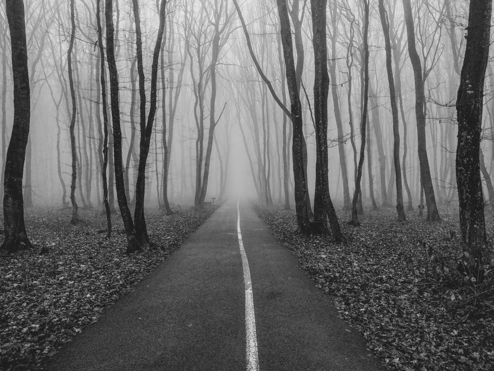 Photograph by Виталий Маслов