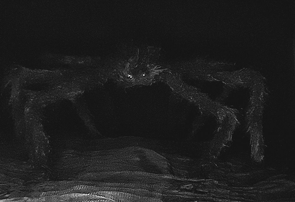 Photograph by Марина Игнатьева