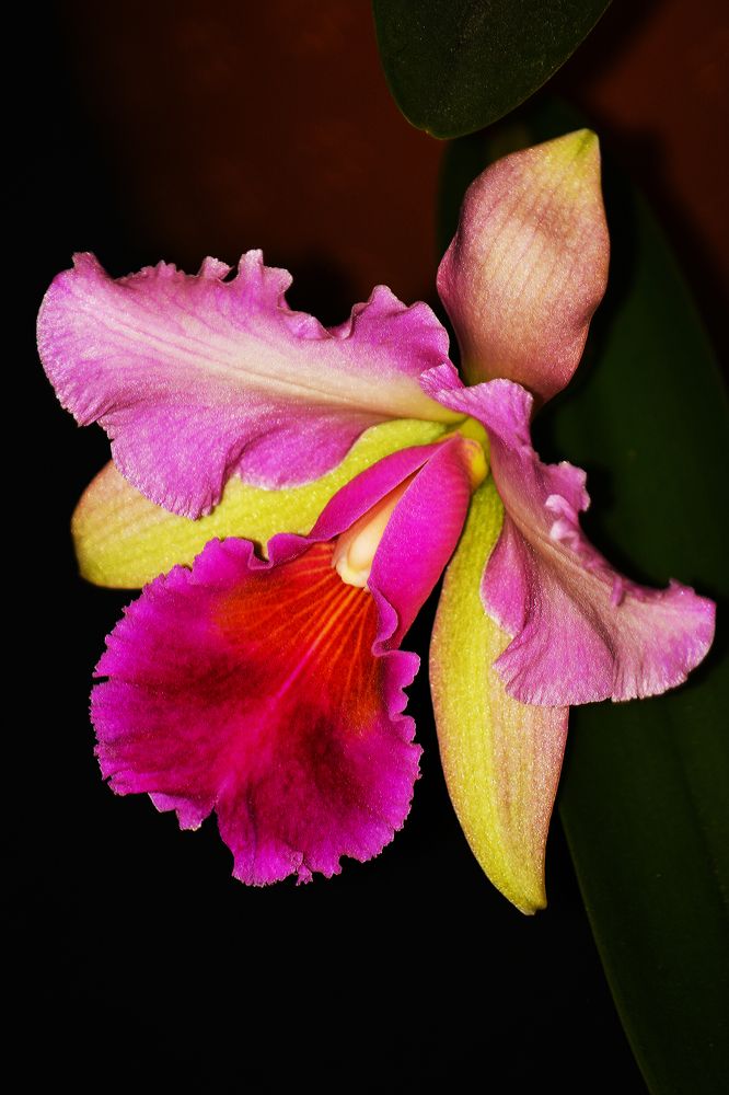 Photograph by Марина Канавченко