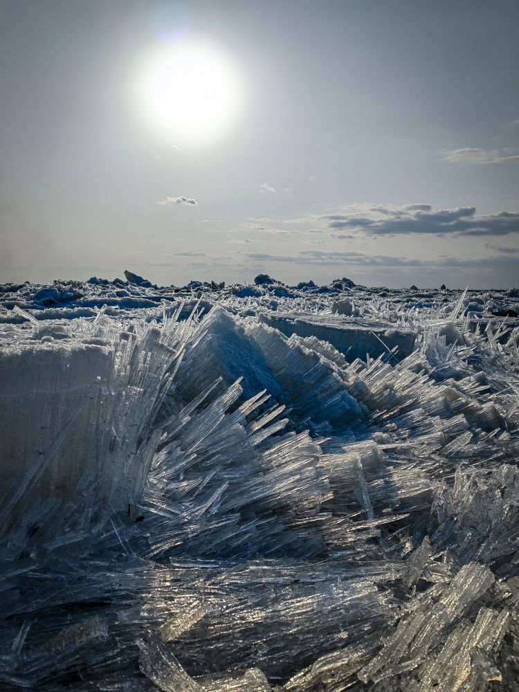 Фотография автора Надежда Барышева