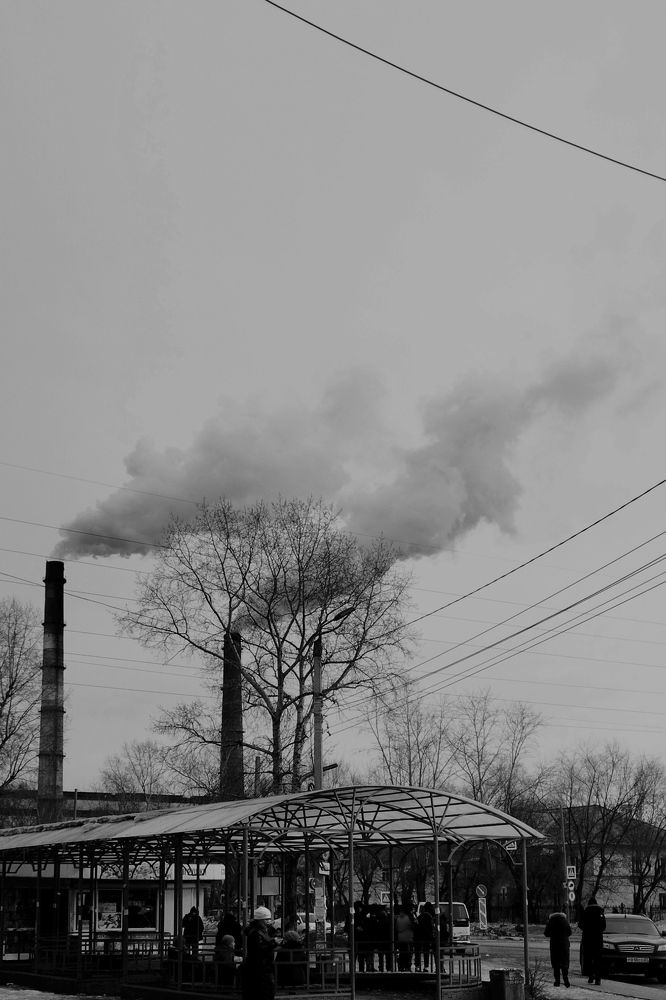 Photo #9637149